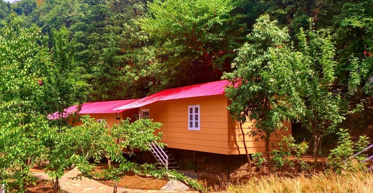 Aaroham Resort Shimla ! Luxury Cottage By Aamod Group المظهر الخارجي الصورة