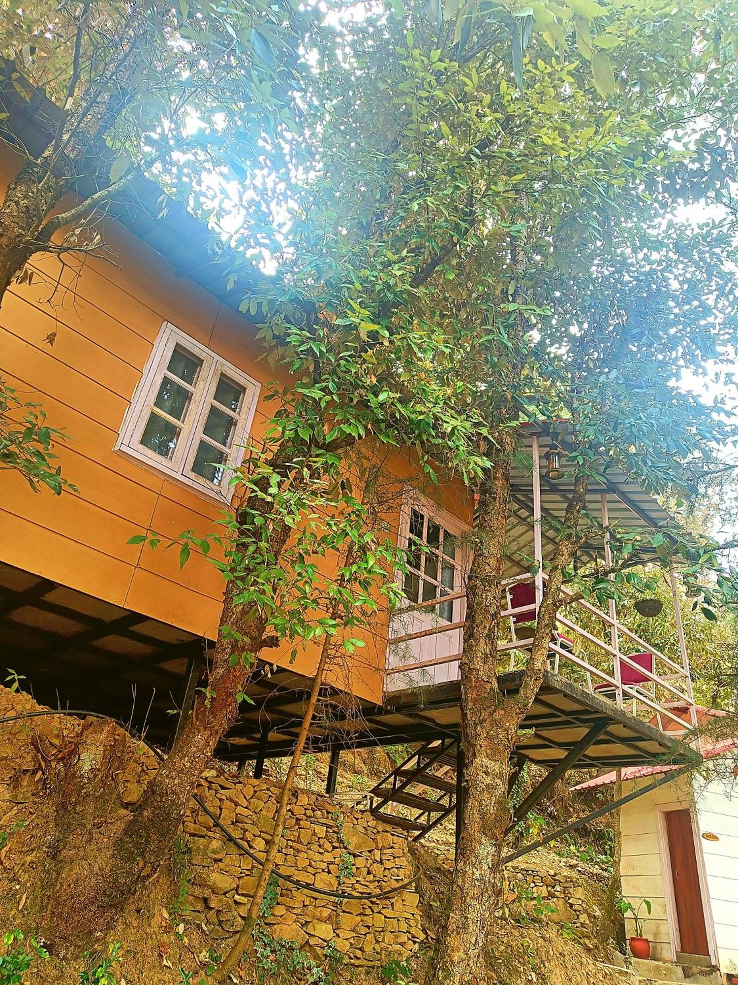 Aaroham Resort Shimla ! Luxury Cottage By Aamod Group المظهر الخارجي الصورة